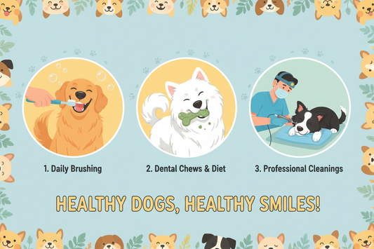 Brushing your dog’s teeth daily, offering dental chews, and scheduling regular vet cleanings are the three pillars of effective canine dental care. These habits help prevent plaque, gum disease, and serious health issues.