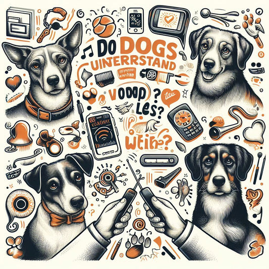 Do Dogs Understand Words or Tone? Communication Tips That Work