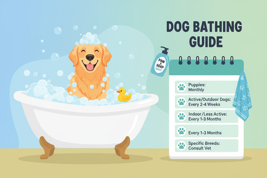 Dog Bathing Frequency