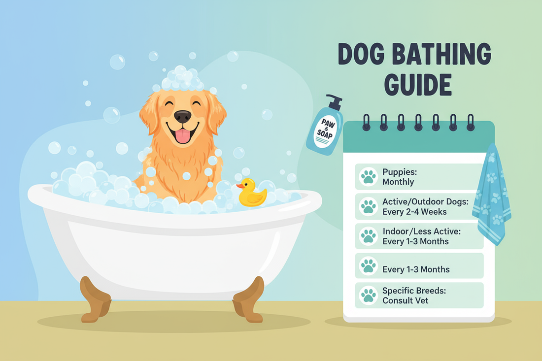 Featured image for Dog Bathing Frequency – Breed Care Guide