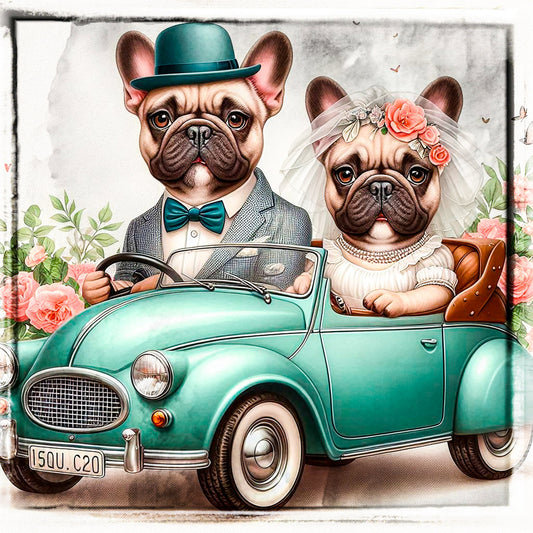 Featured image for French Bulldog Overview – Breed Care Guide