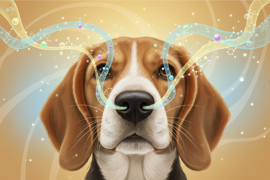 The Science of the Sniff: Why Dogs Are Masters of Scent
