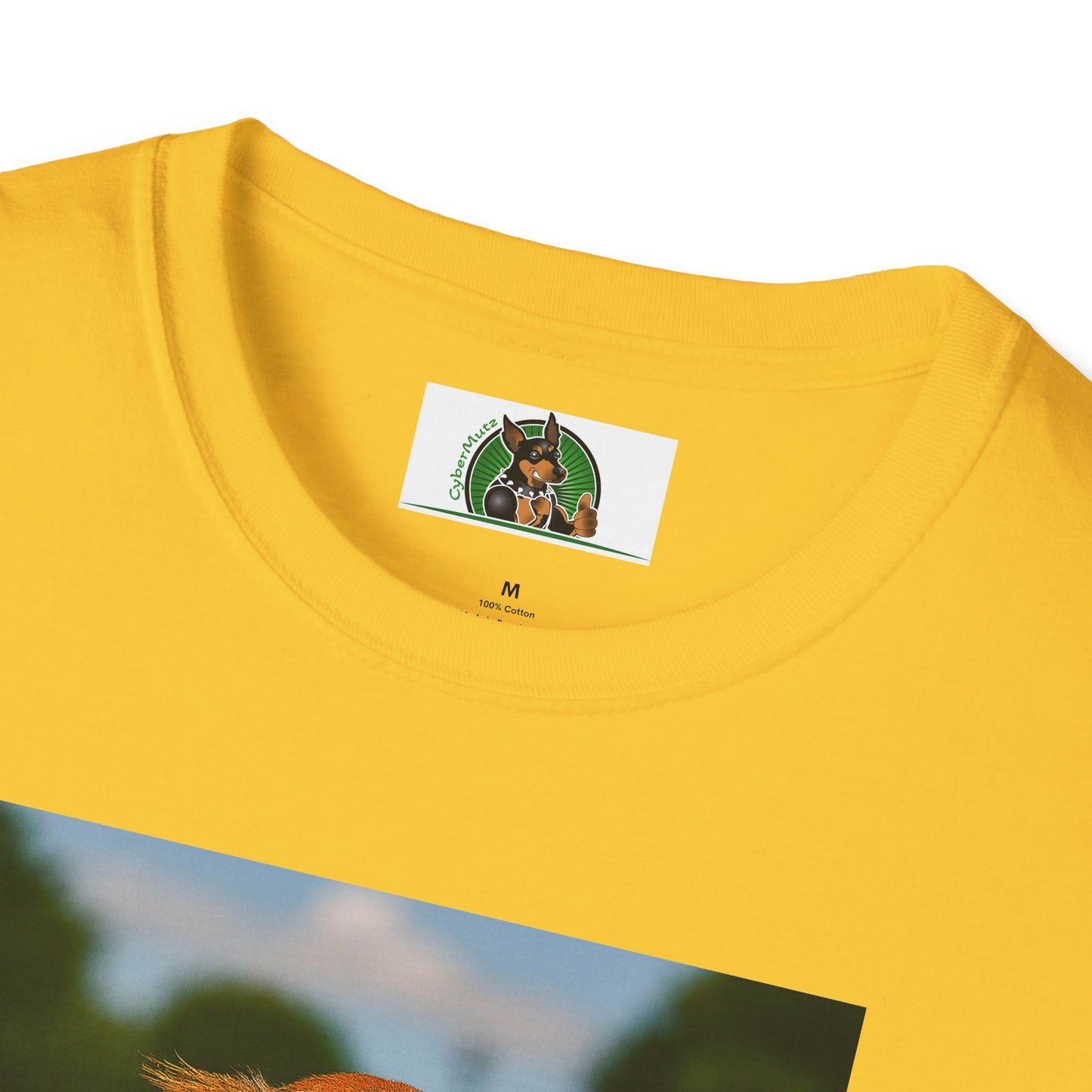 Sports Dachshund Baseball T-Shirt