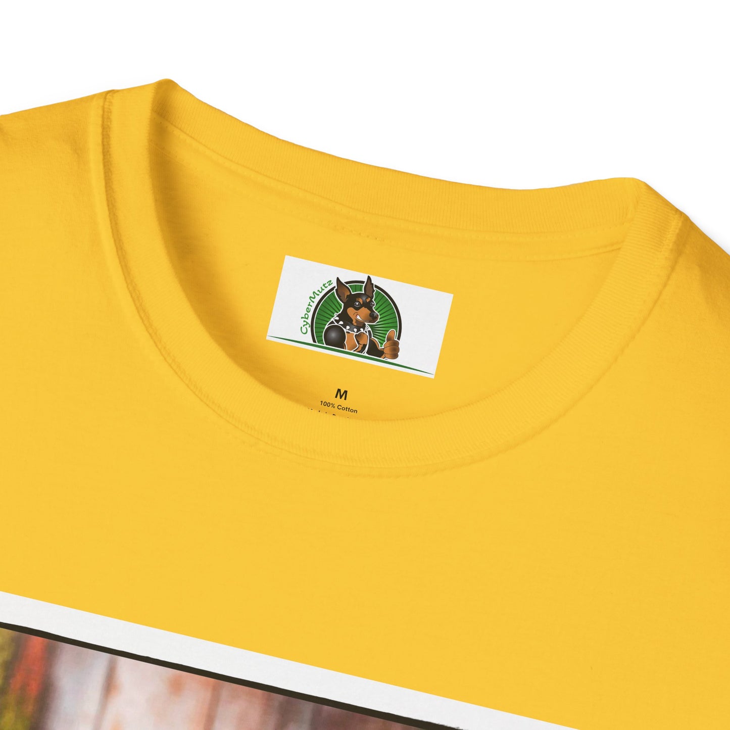 Australian Shepherd With Fedora Hat