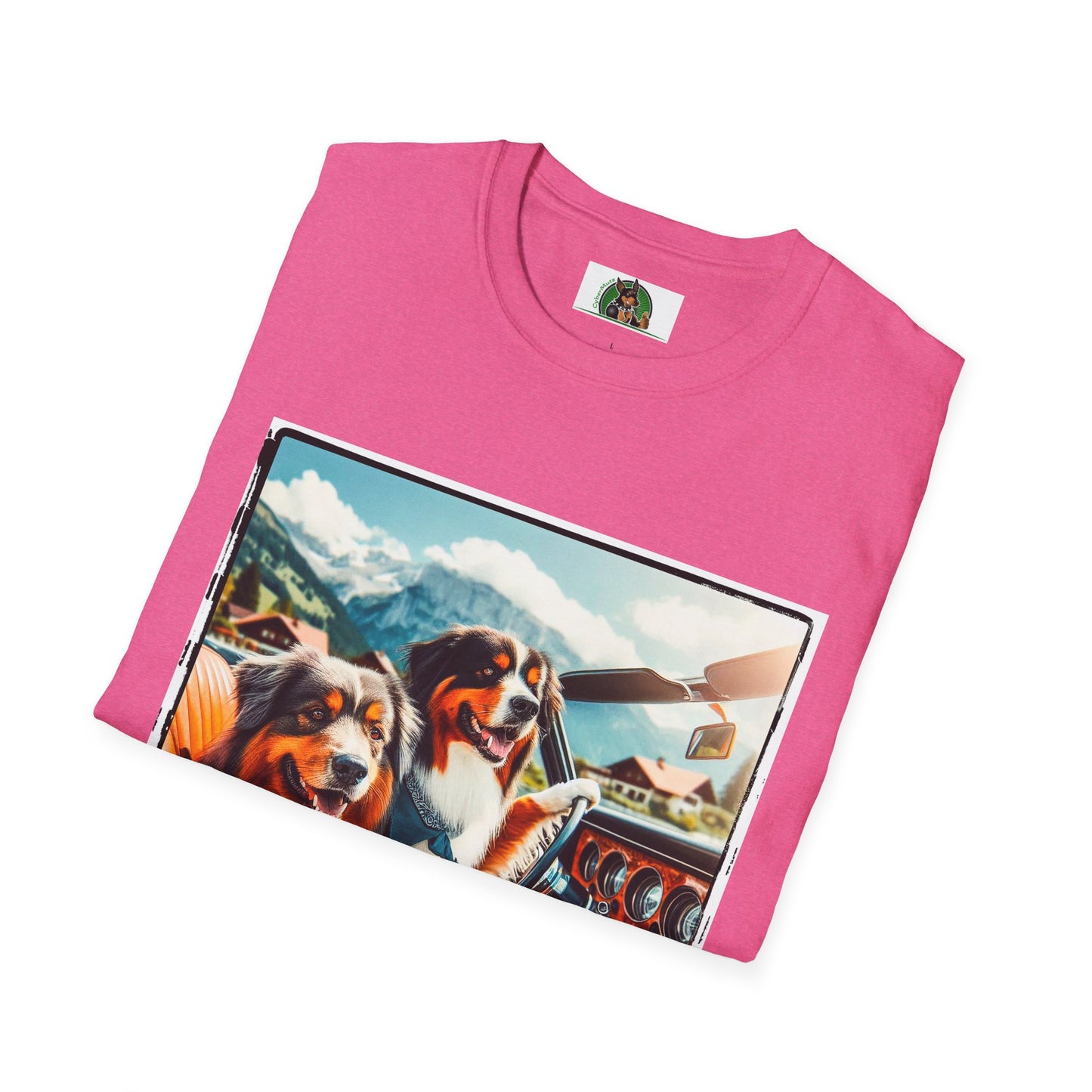 Australian Shepherd Dogs In Car