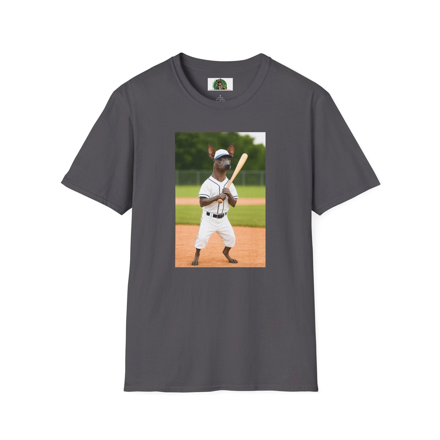 Mexican Hairless Dog Baseball Tee — Dog Lover Sports T-Shirt T-Shirt Printify Charcoal S