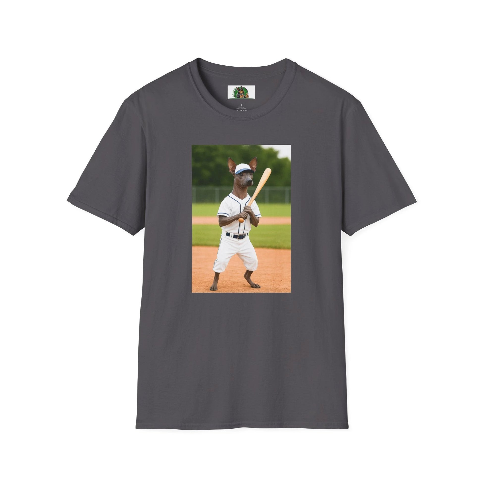 Mexican Hairless Dog Baseball Tee — Dog Lover Sports T-Shirt T-Shirt Printify Charcoal S