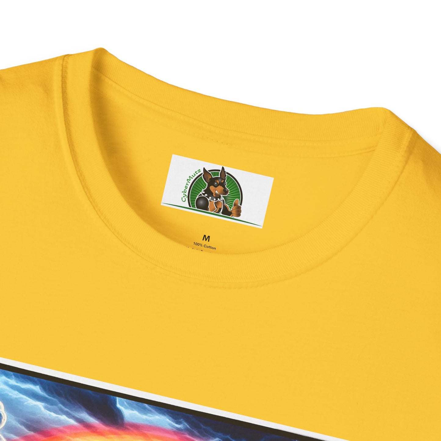 Australian Shepherd Walking Rainbow Bridge