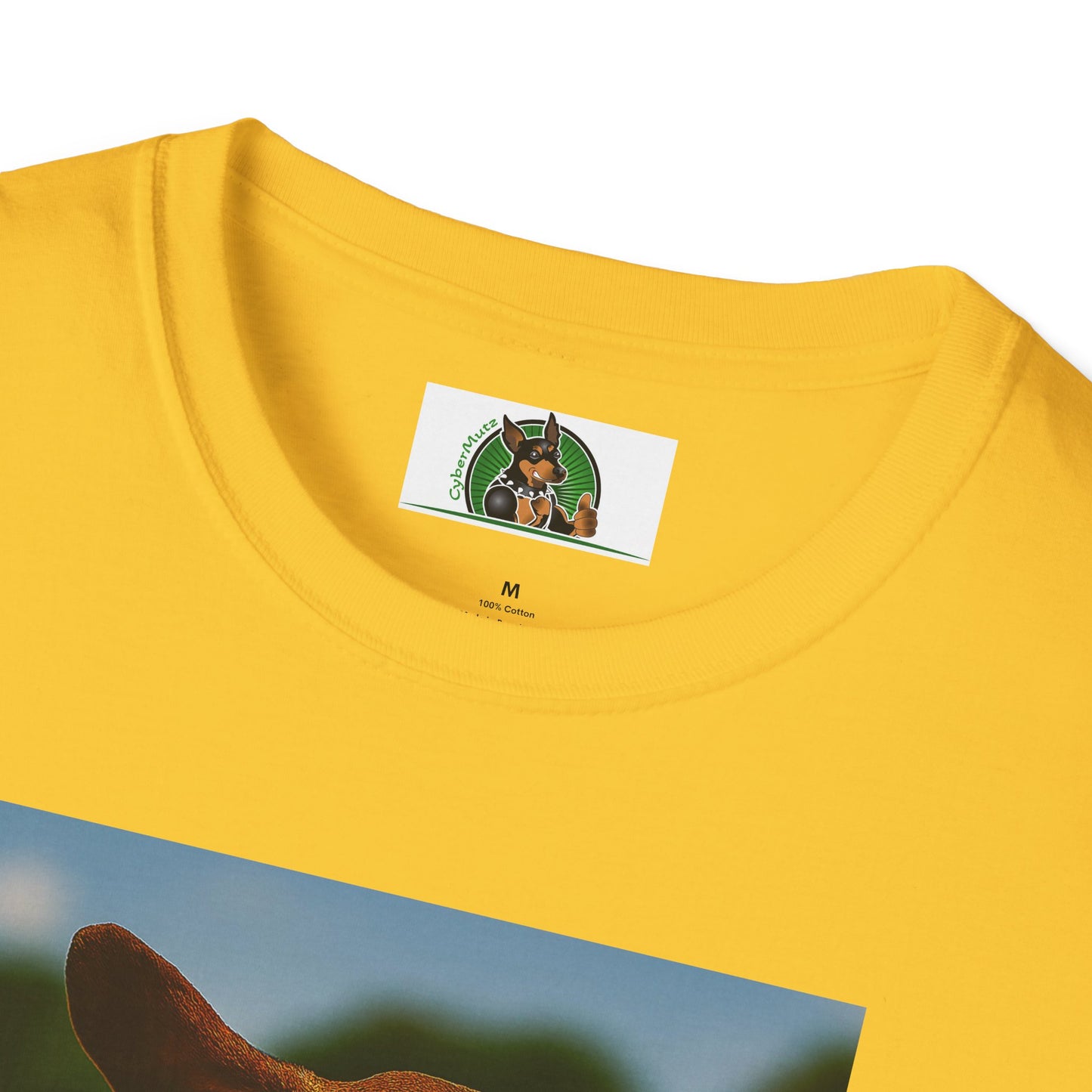 Sports Dachshund Football T-Shirt