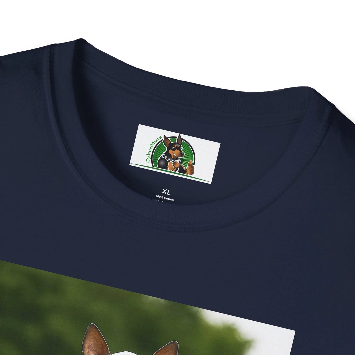 Mexican Hairless Dog Baseball Tee — Dog Lover Sports T-Shirt T-Shirt Printify