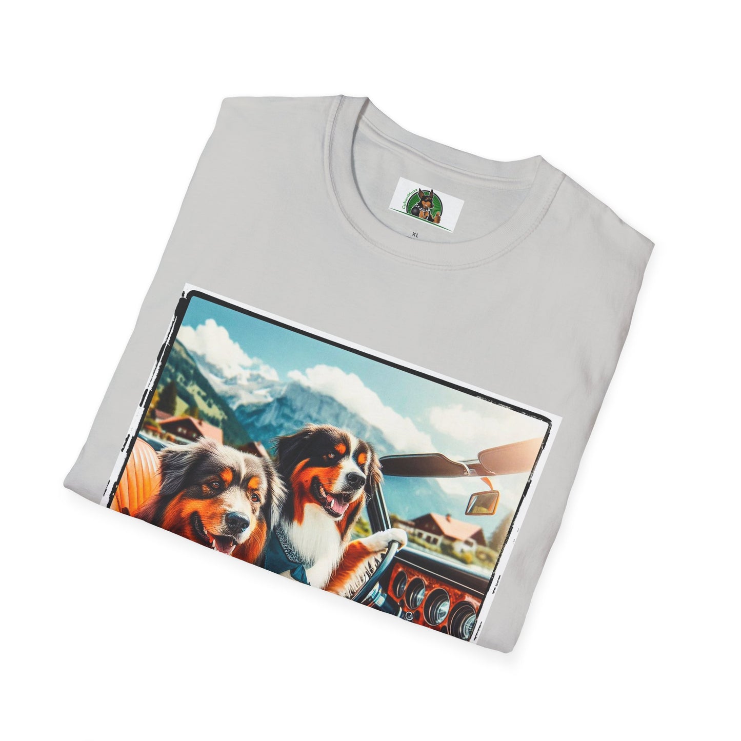 Australian Shepherd Dogs In Car