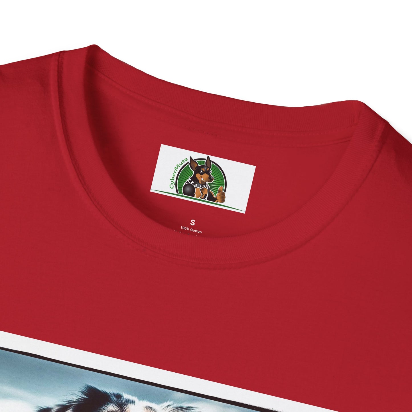 Australian Shepherd Muscle Dog