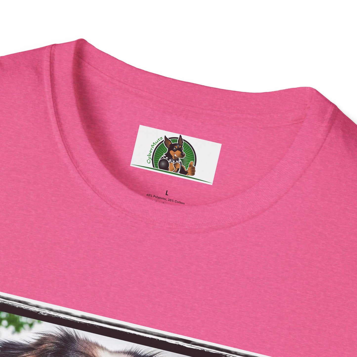 Australian Shepherd Tattooed And Buff