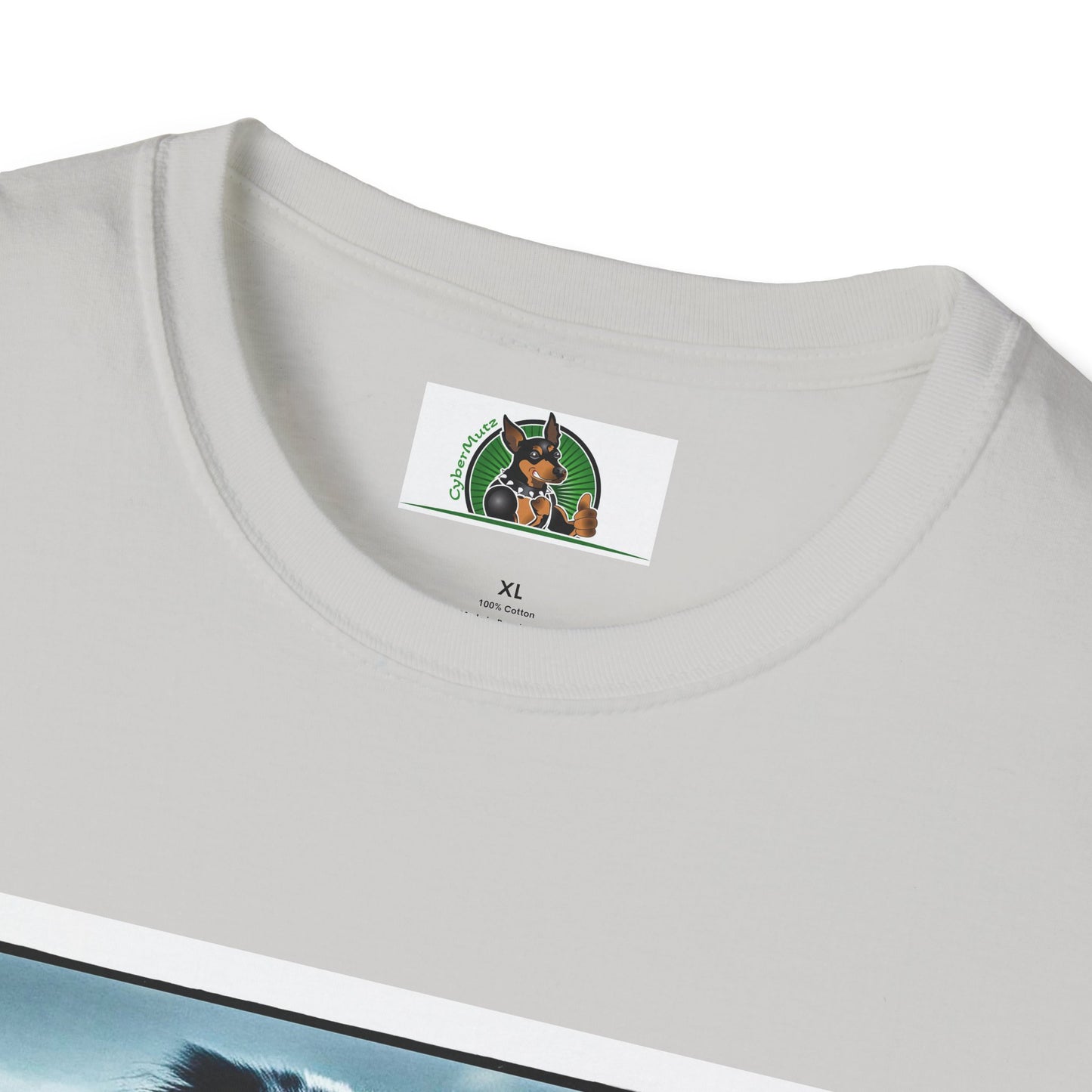 Australian Shepherd Muscle Dog