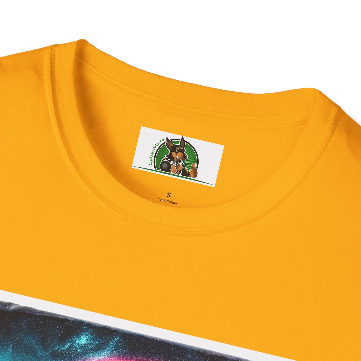 Australian Shepherd Rainbow Bridge At Night