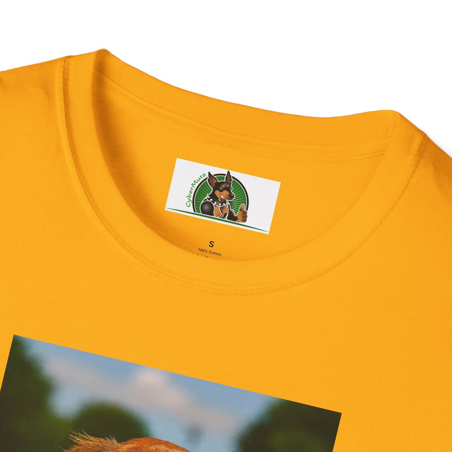 Sports Dachshund Baseball T-Shirt