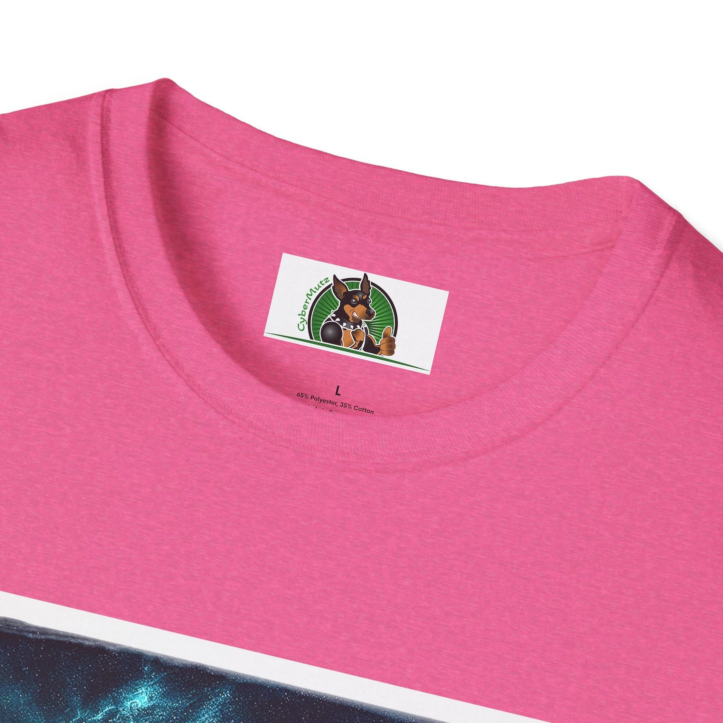 Australian Shepherd Rainbow Bridge At Night