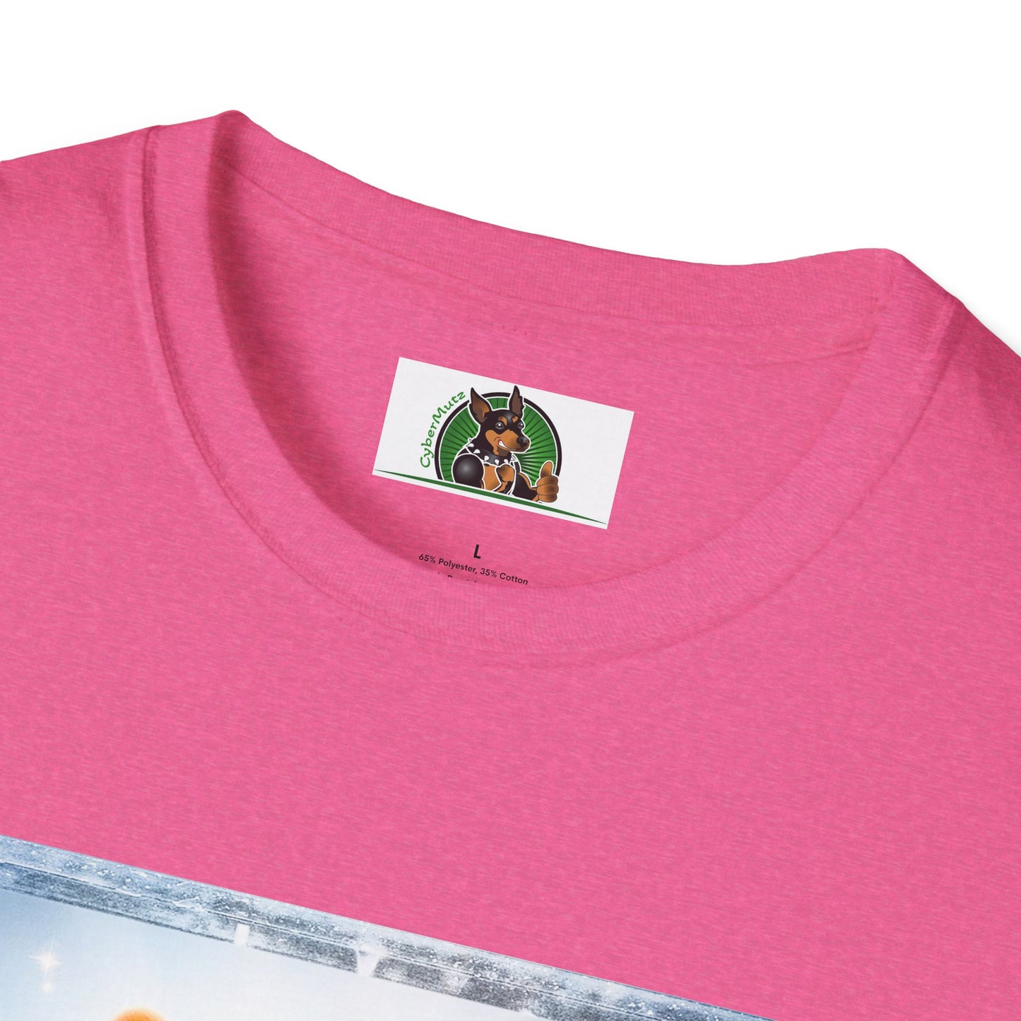 Pembroke Welsh Corgi heaven and clouds