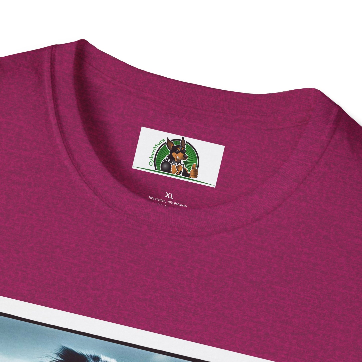 Australian Shepherd Muscle Dog