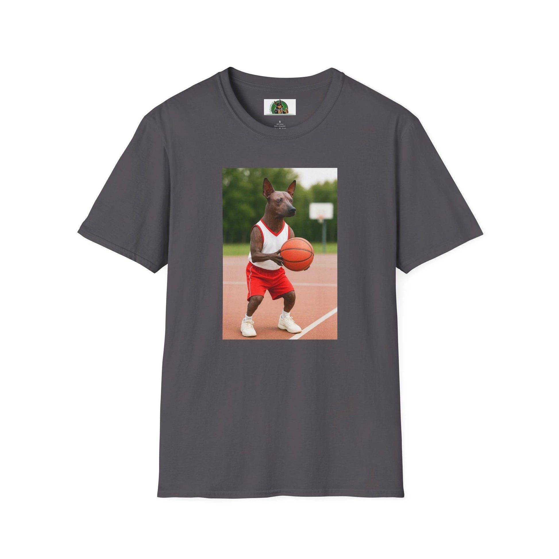 Mexican Hairless Dog Basketball T-Shirt — Dog Lover Sports Tee T-Shirt Printify Charcoal S