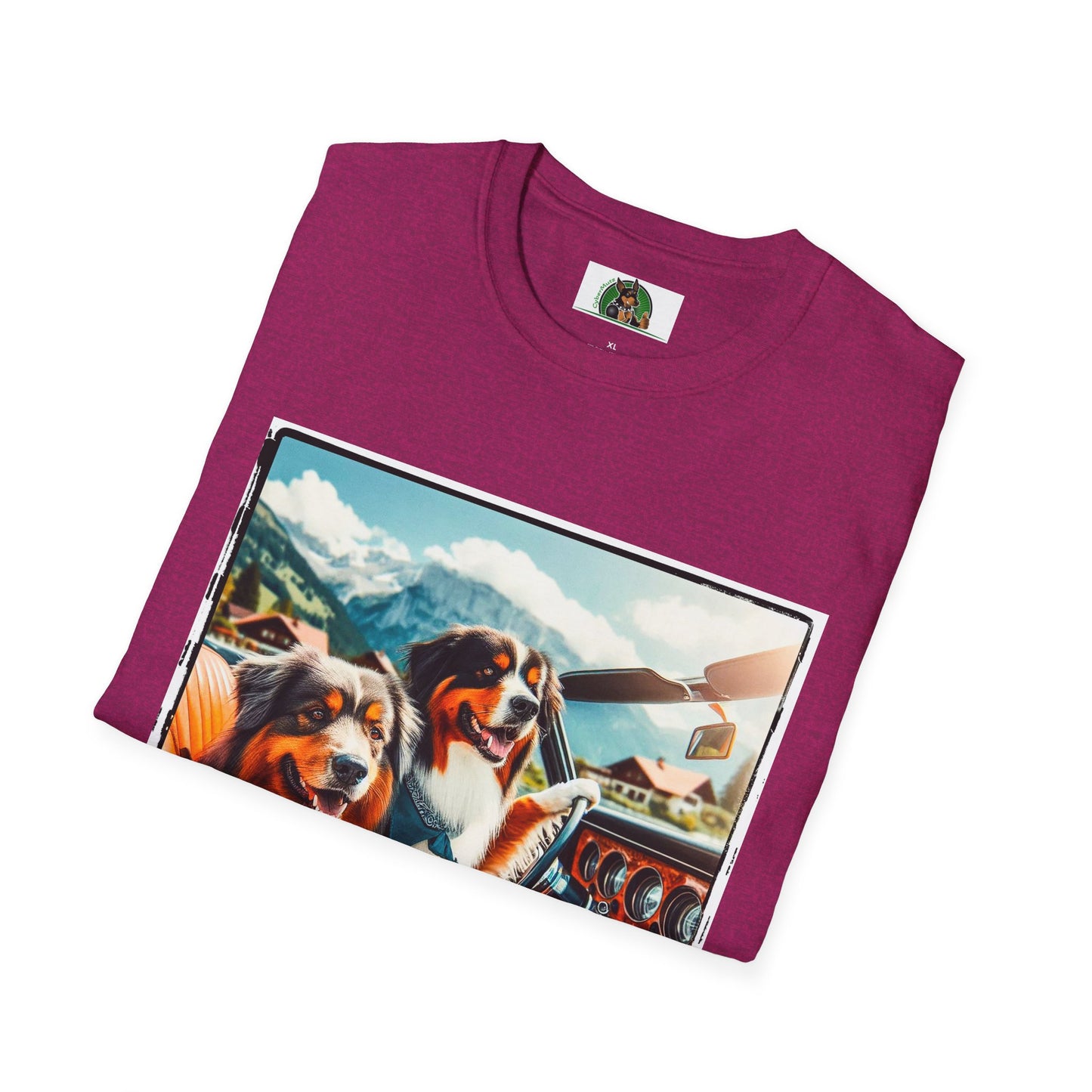 Australian Shepherd Dogs In Car