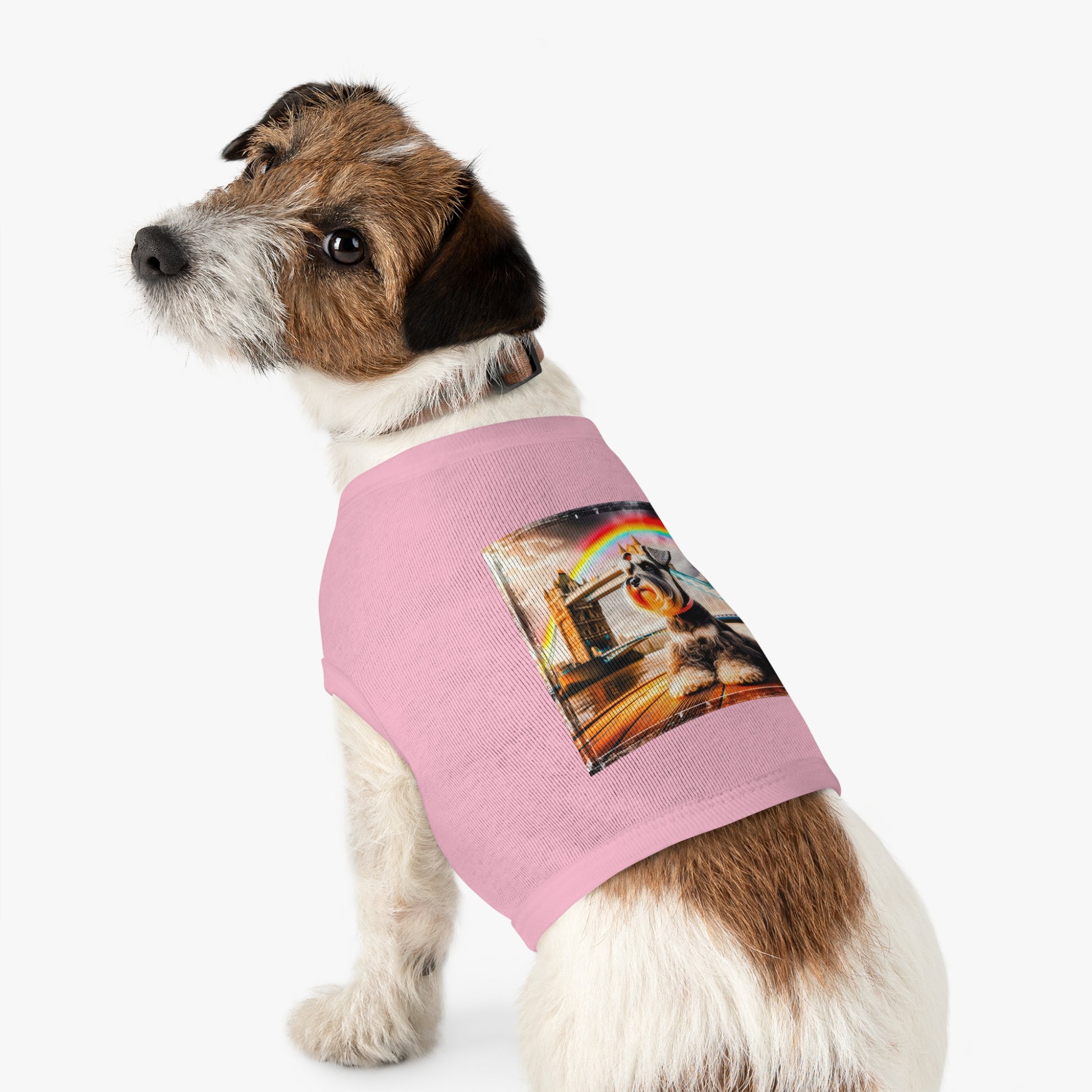 Miniature Schnauzer rainbow bridge shirt Pets Printify