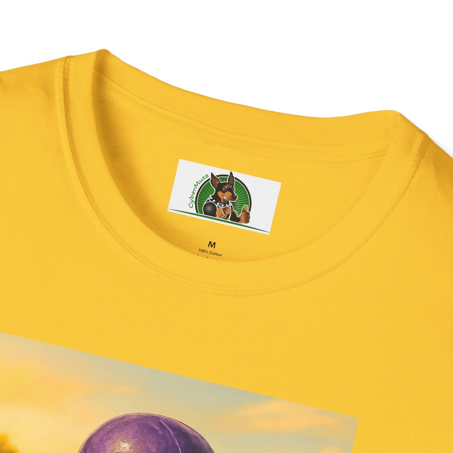 Sports Football Basset Hound T-Shirt