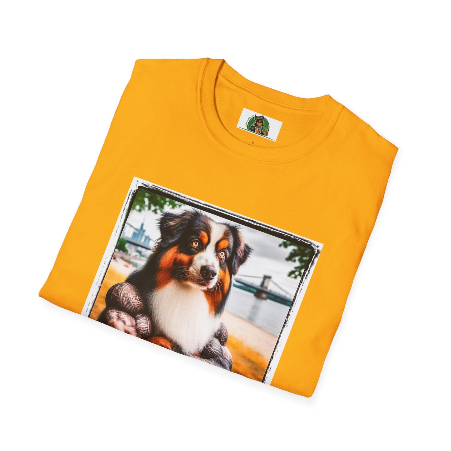 Australian Shepherd Tattooed And Buff