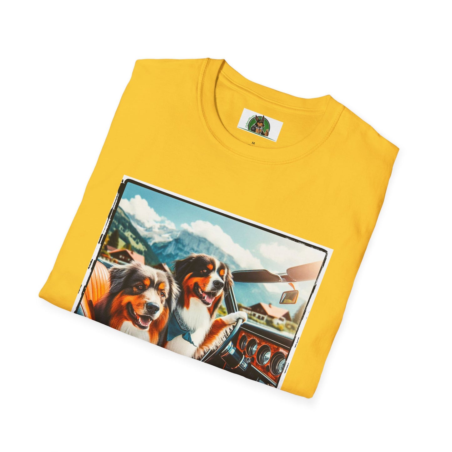 Australian Shepherd Dogs In Car