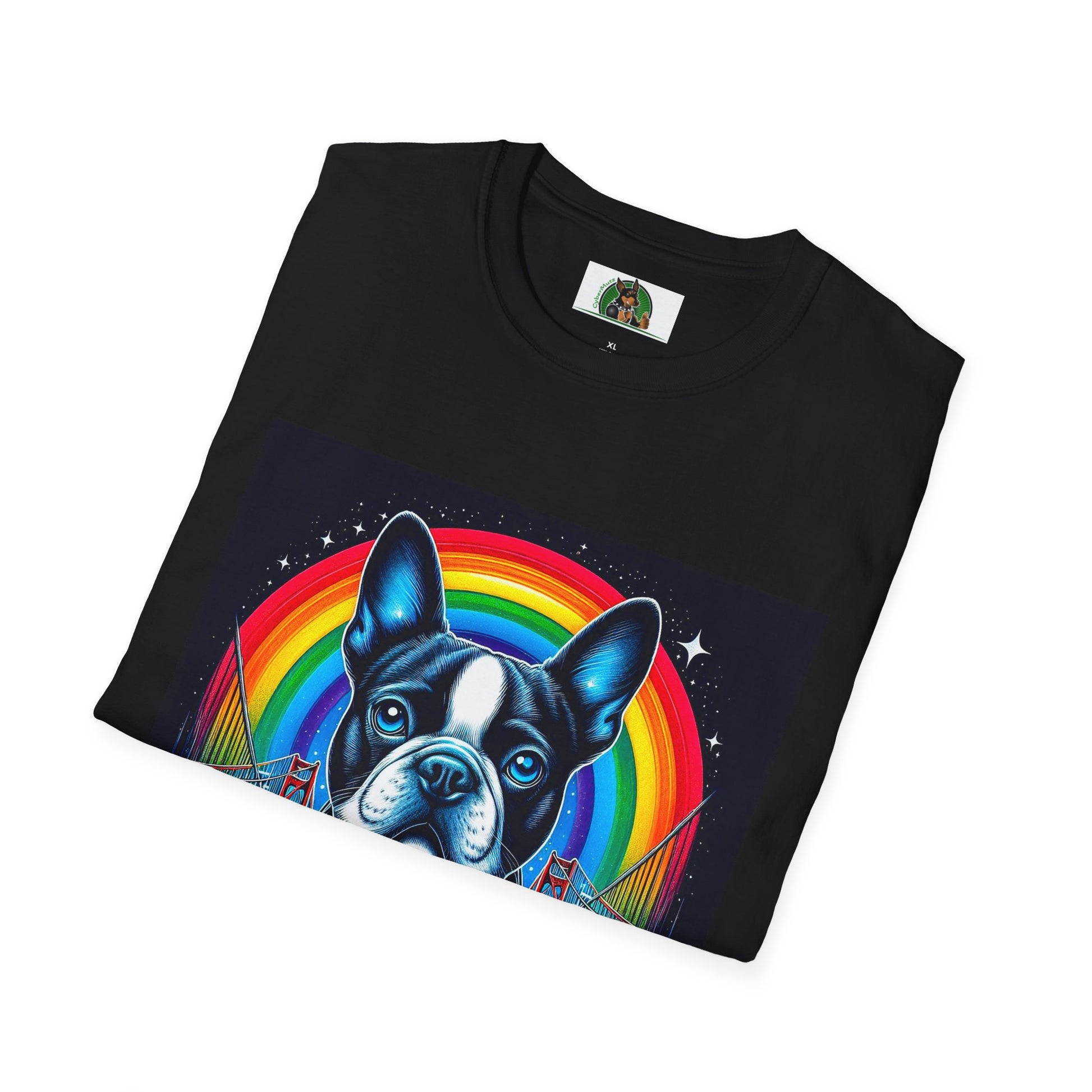 Boston Terrier Dog Overlooking Rainbow Bridge T-Shirt Printify   