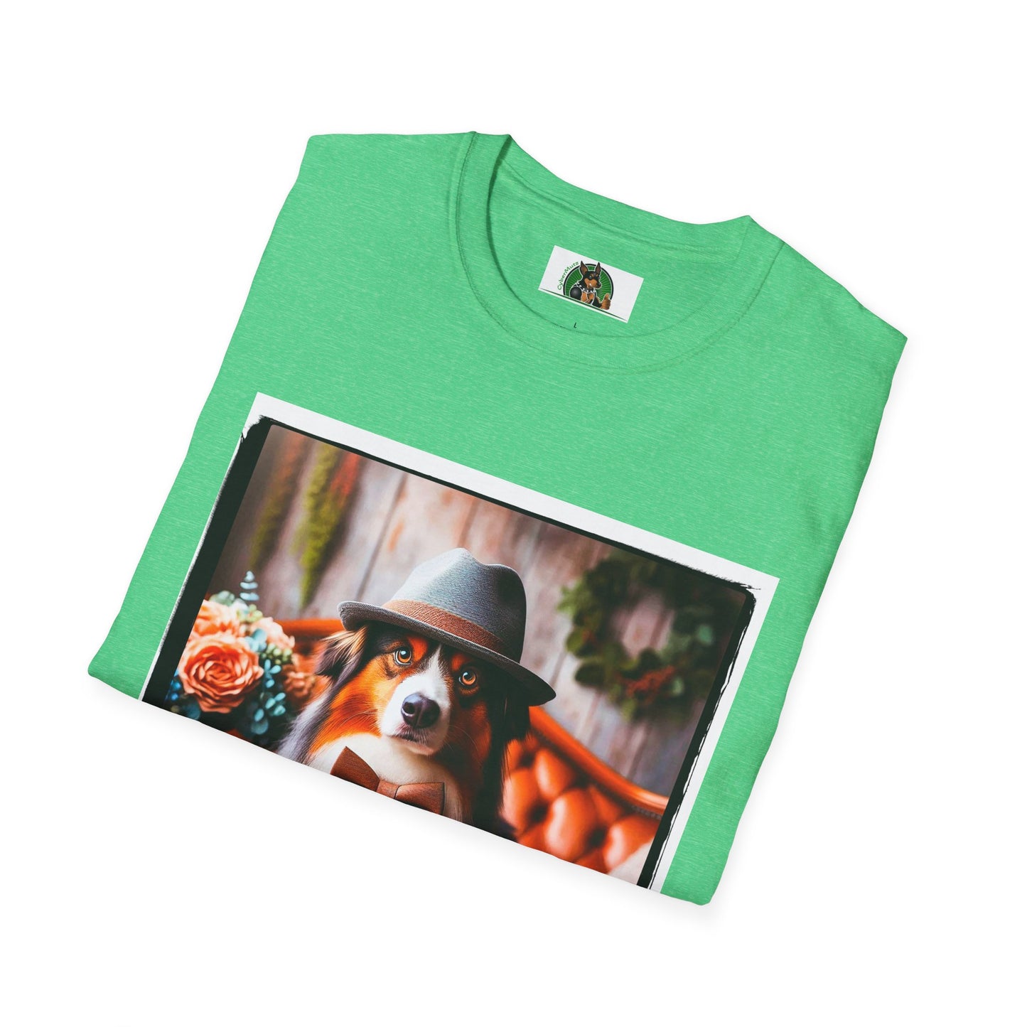 Australian Shepherd With Fedora Hat