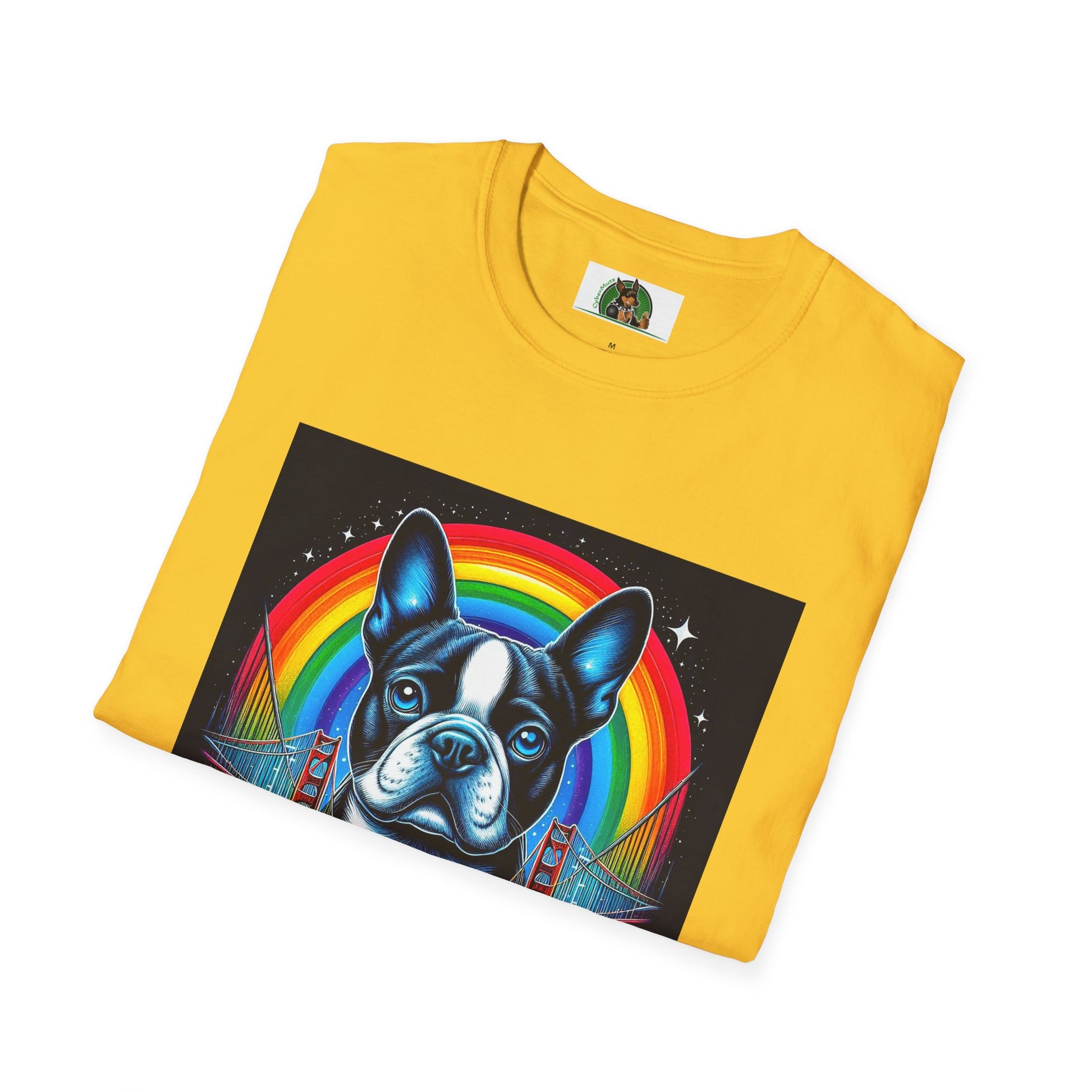 Boston Terrier Dog Overlooking Rainbow Bridge T-Shirt Printify   