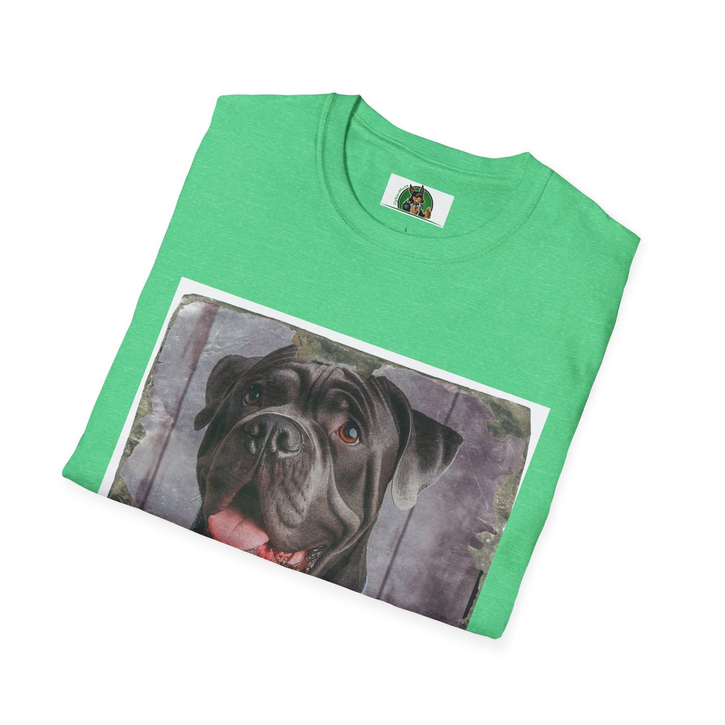 Cane Corso Wearing Suit And Tie TShirt