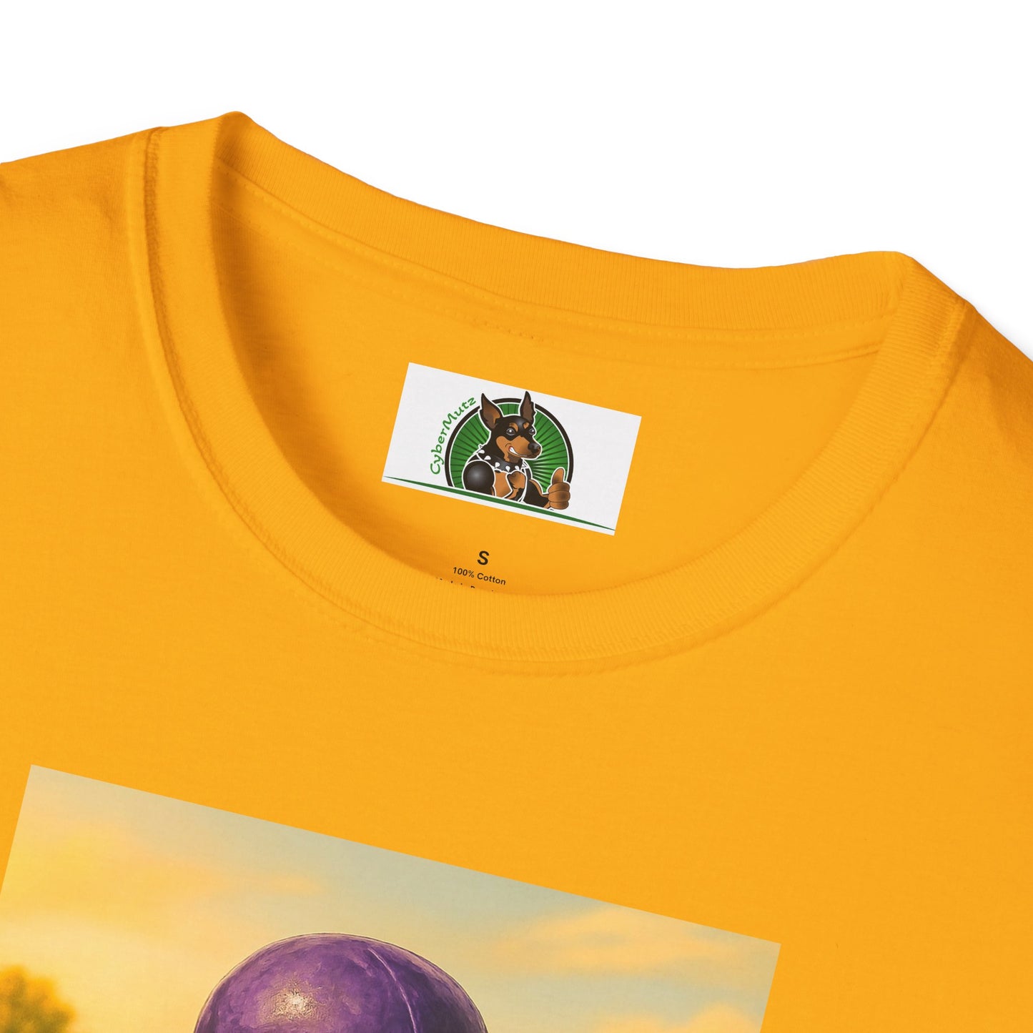 Sports Football Basset Hound T-Shirt