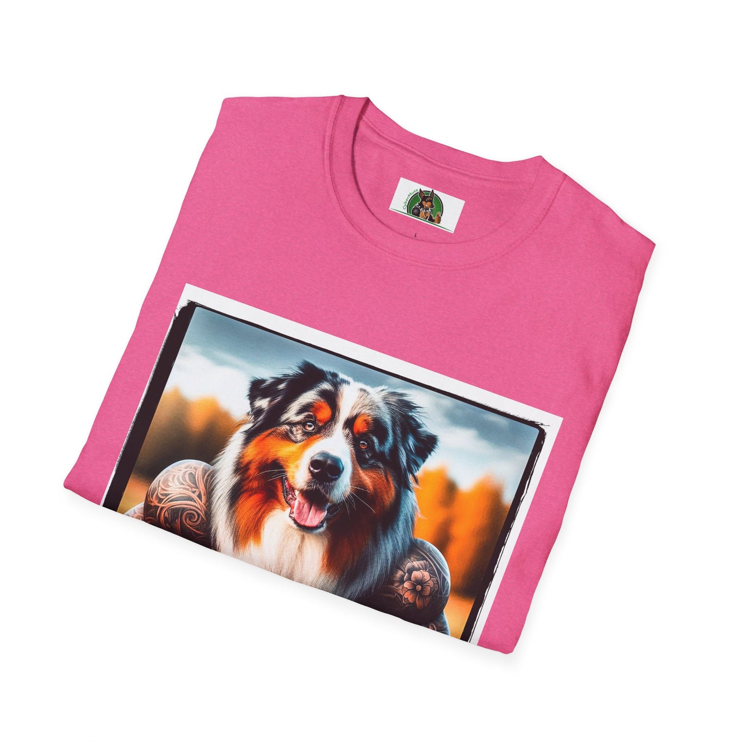 Australian Shepherd Muscle Dog