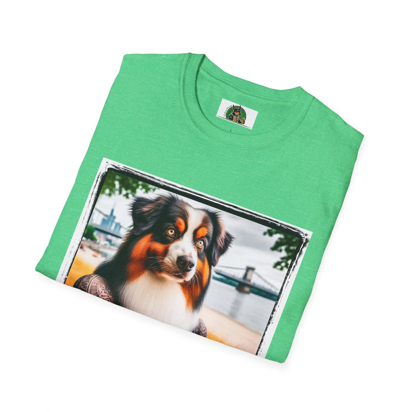 Australian Shepherd Tattooed And Buff