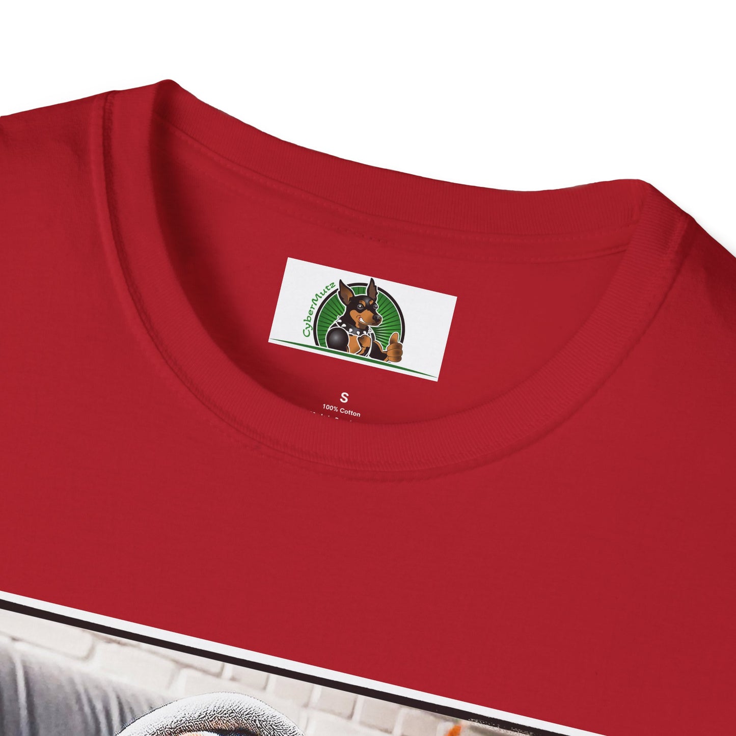 Basset Hound Draped In Blanket