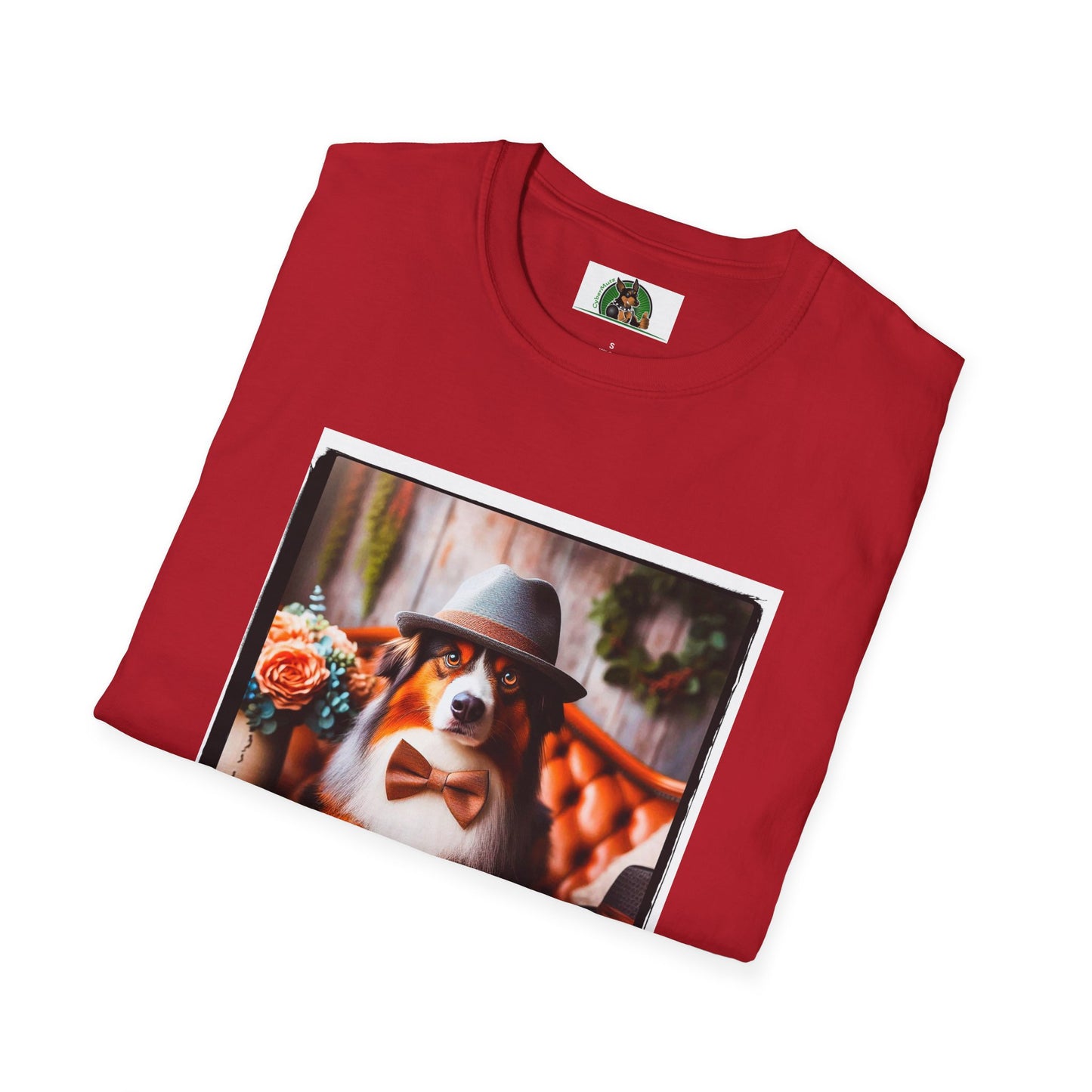 Australian Shepherd With Fedora Hat