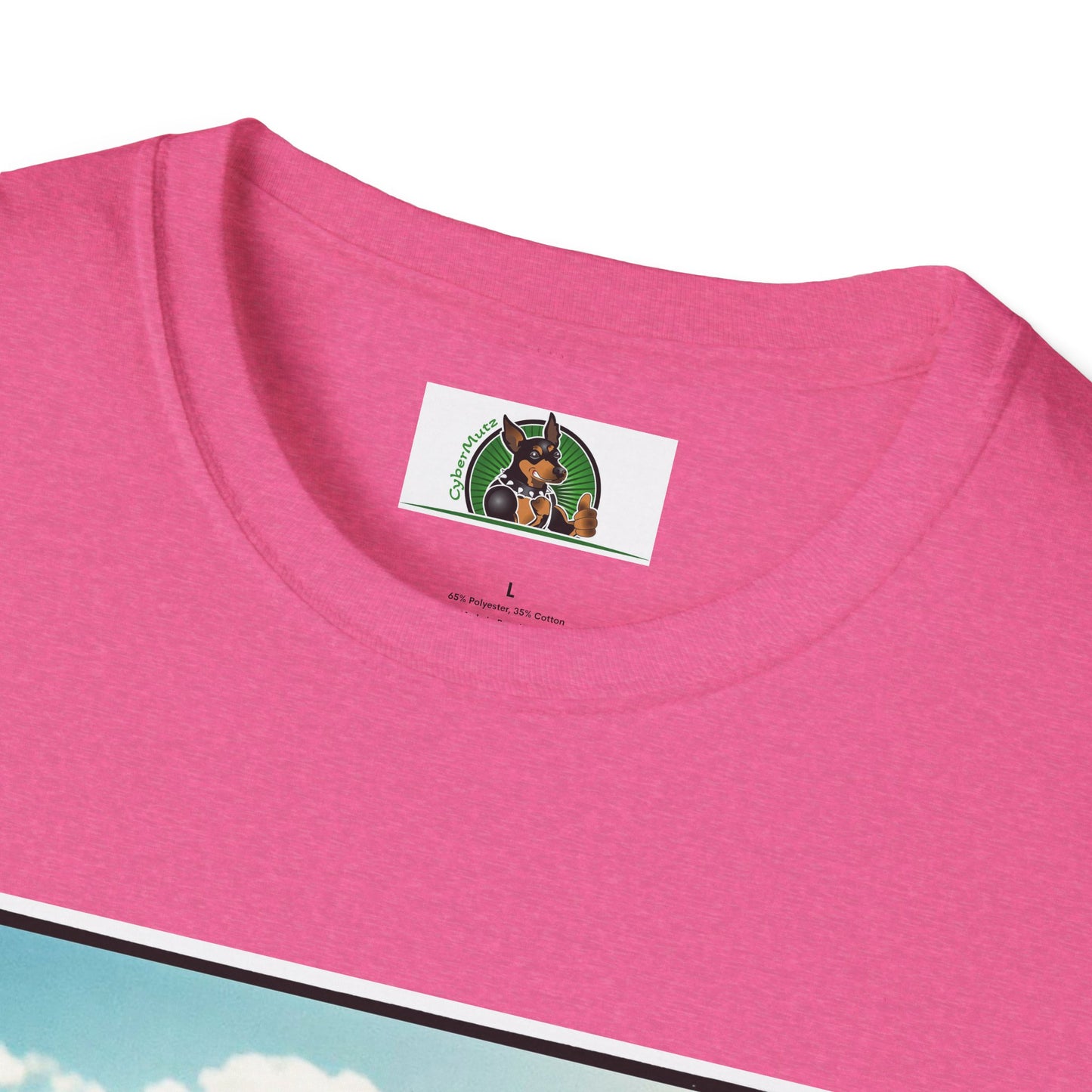 Australian Shepherd Dogs In Car