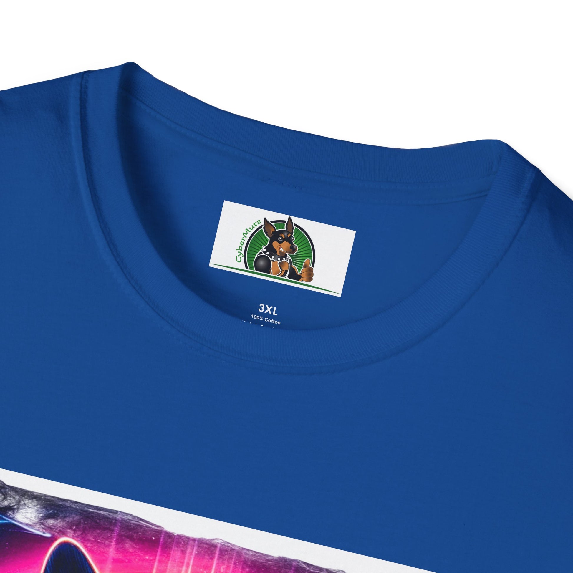 Boston Terriers Rainbow Bridge T-Shirt T-Shirt Printify