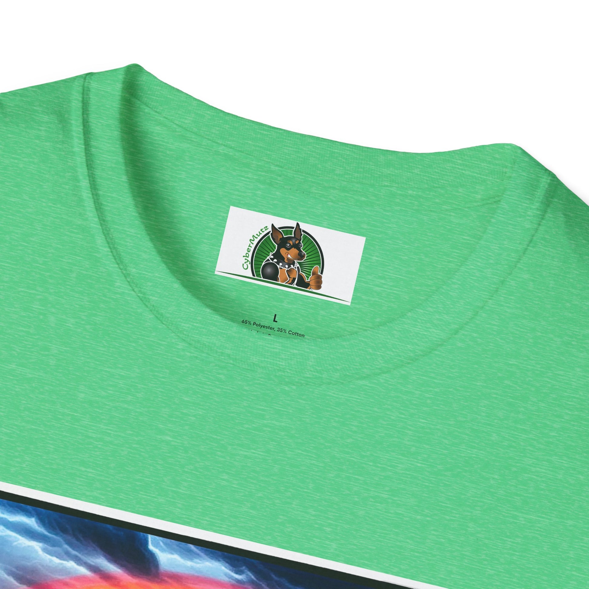 Australian Shepherd Walking Rainbow Bridge T-Shirt Printify