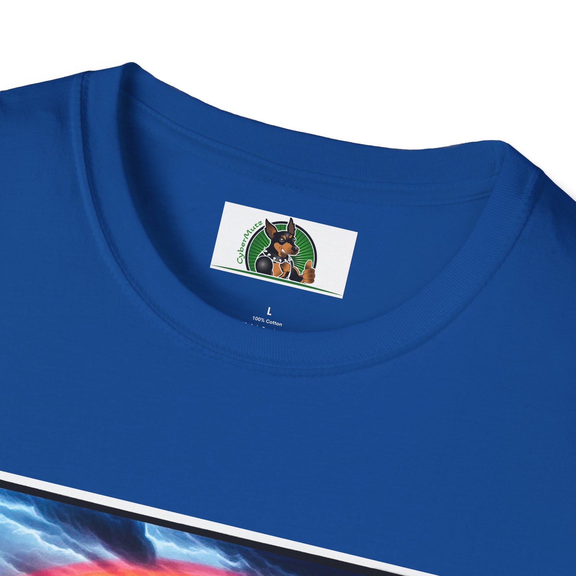 Australian Shepherd Walking Rainbow Bridge T-Shirt Printify