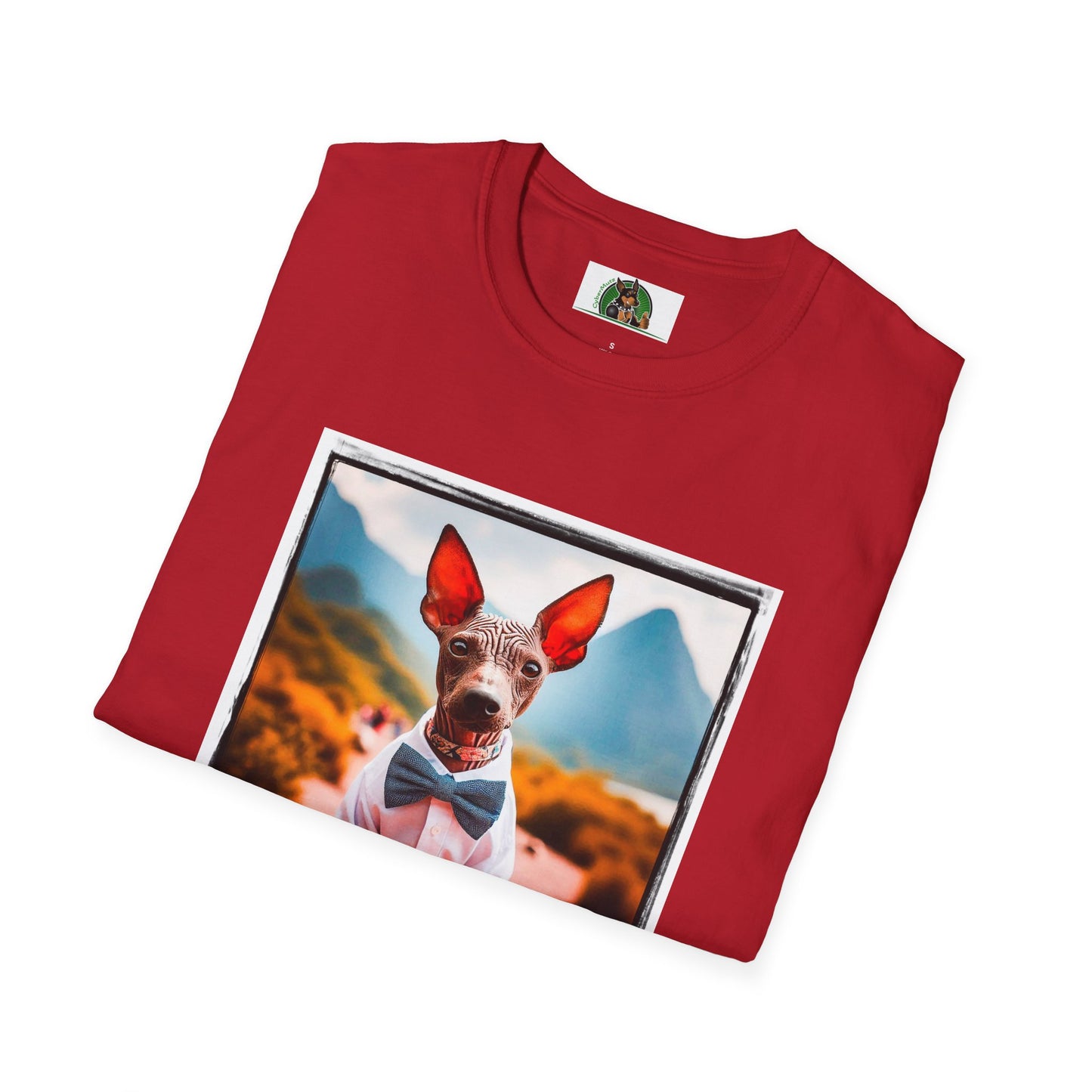 Mexican Hairless Dog T-Shirt Printify   