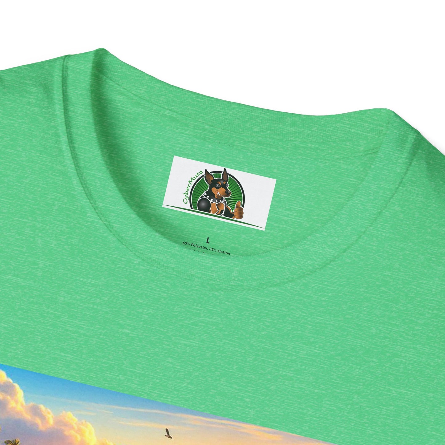 Jack Russell Boogie Boarding