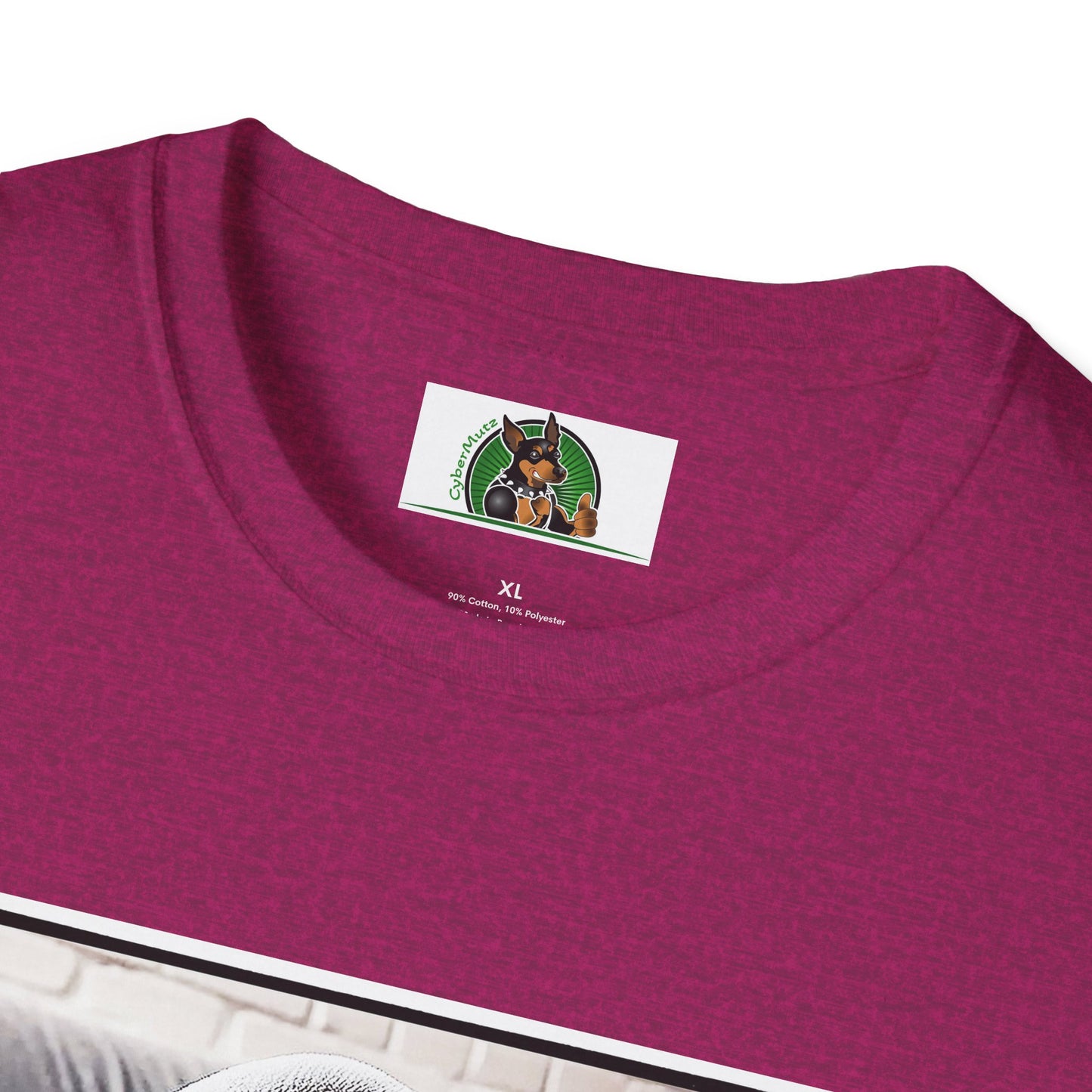 Basset Hound Draped In Blanket