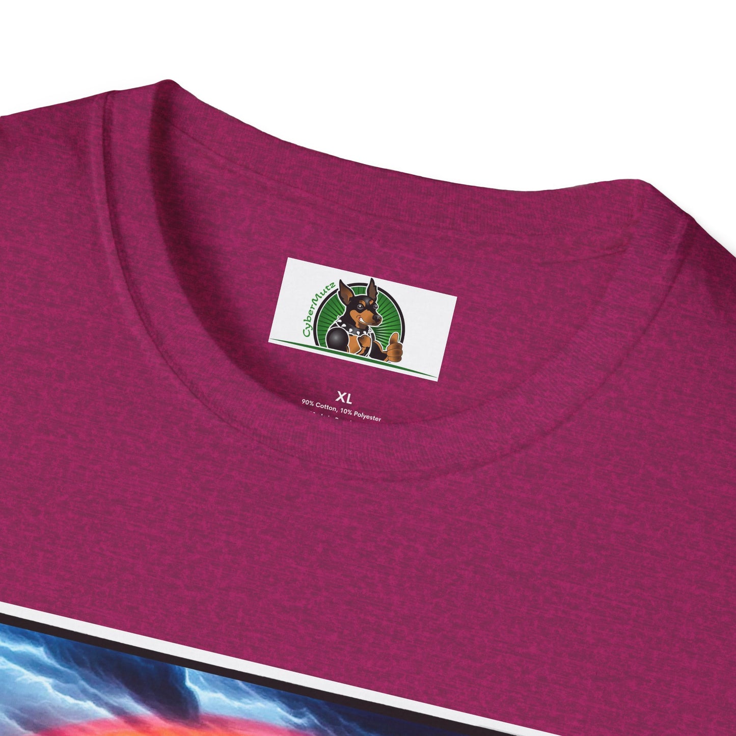 Australian Shepherd Walking Rainbow Bridge