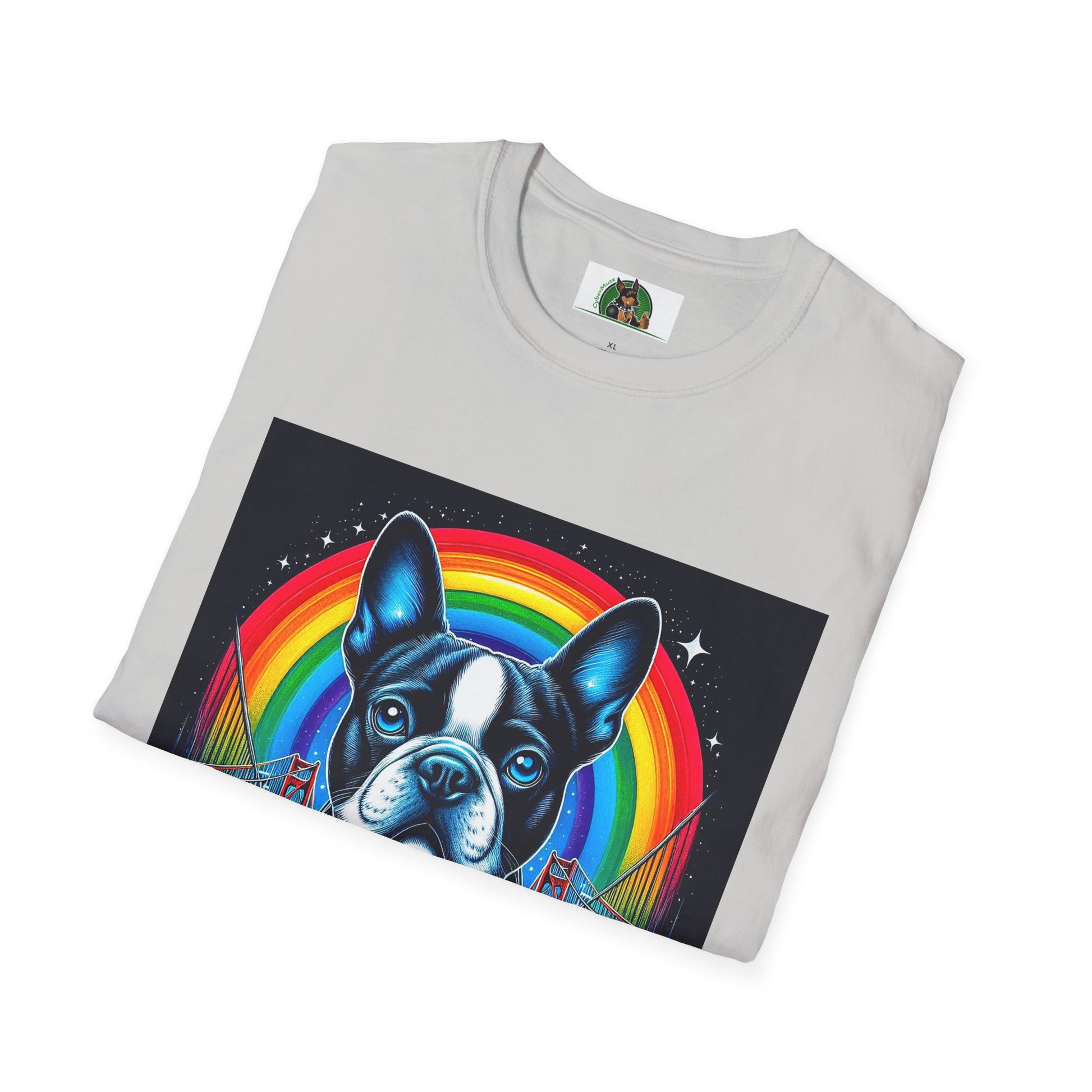 Boston Terrier Dog Overlooking Rainbow Bridge T-Shirt Printify   