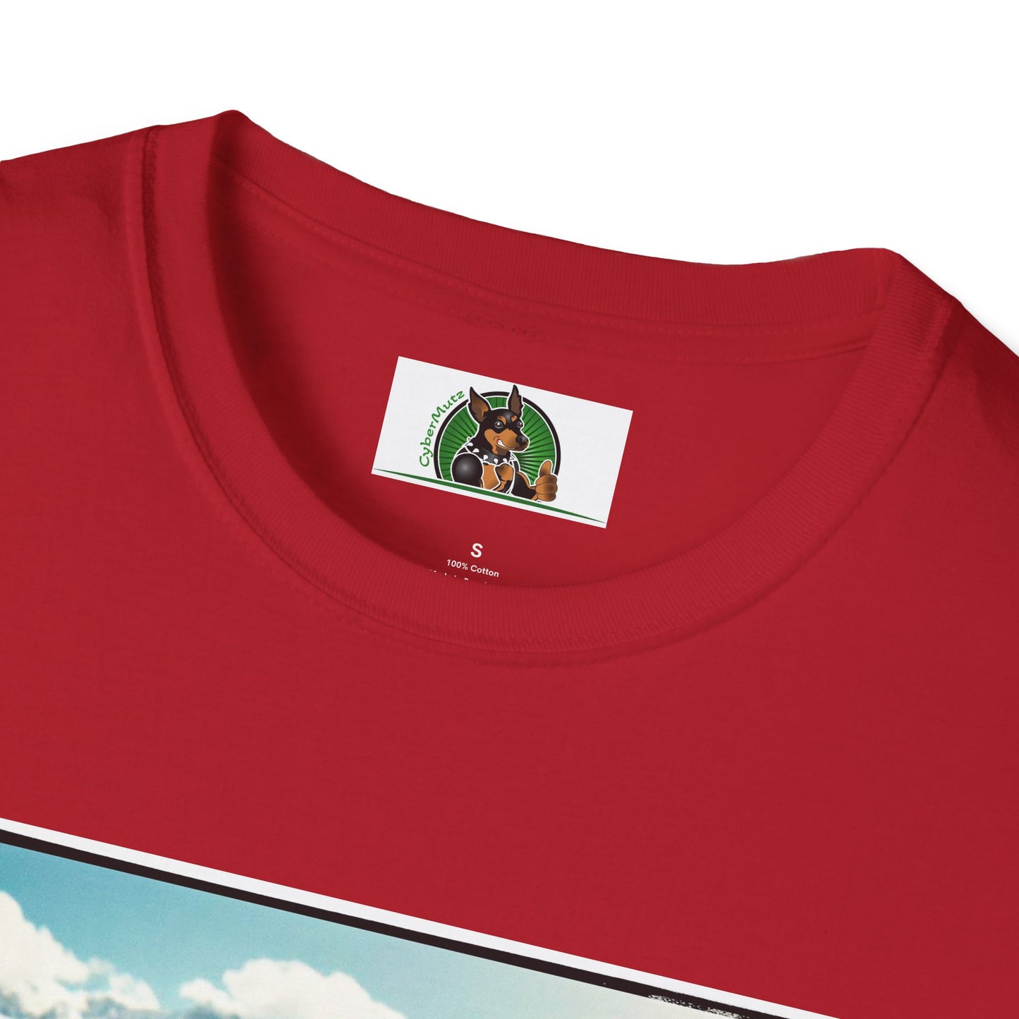 Australian Shepherd Dogs In Car