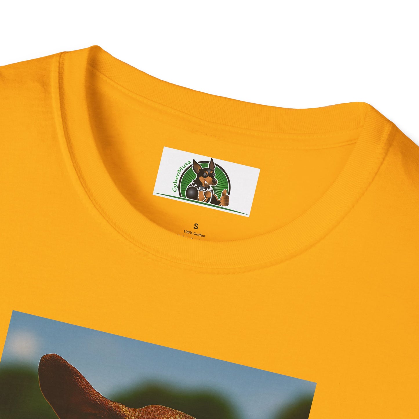 Sports Dachshund Football T-Shirt