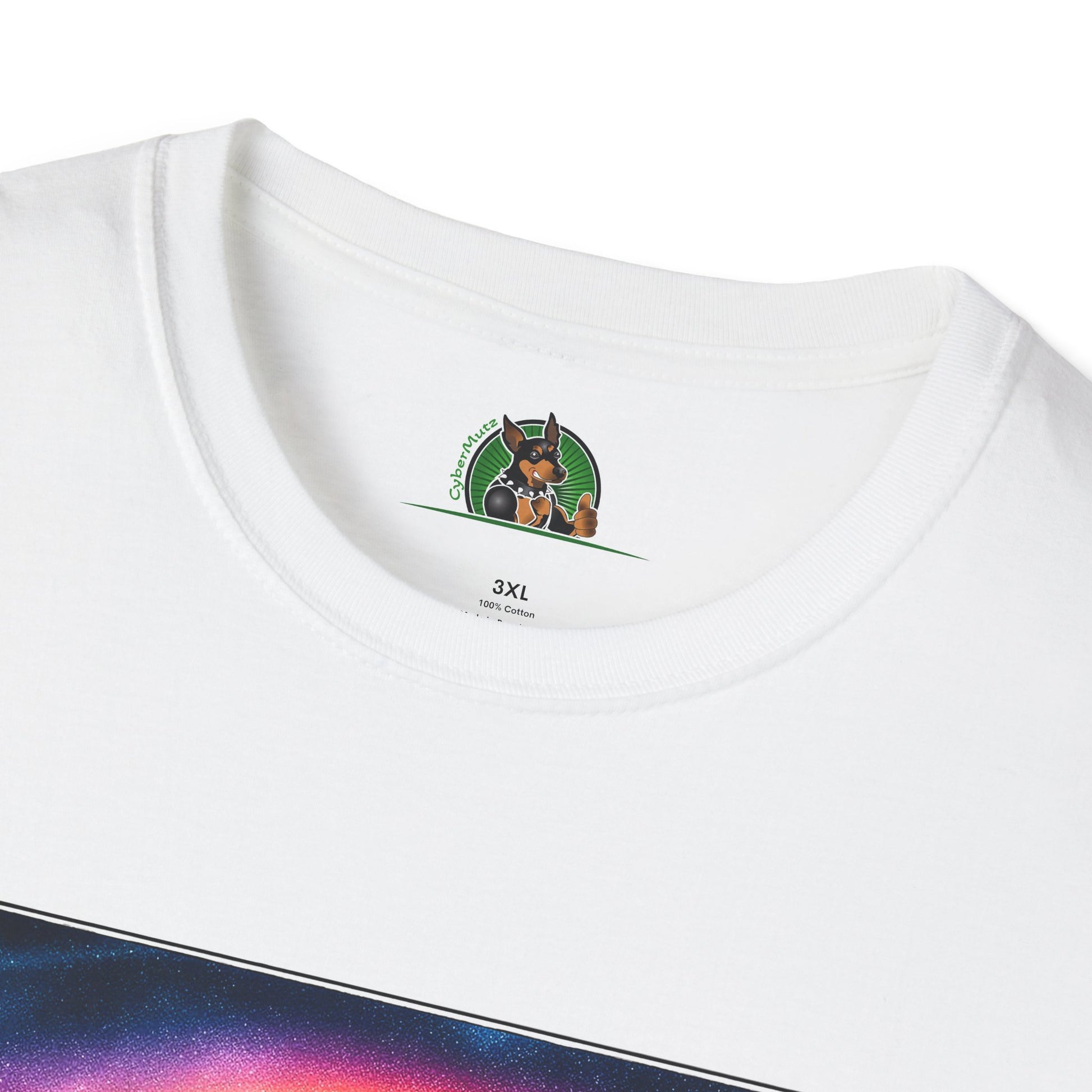 Australian Shepherd Rainbow Bridge And Lake T-Shirt Printify